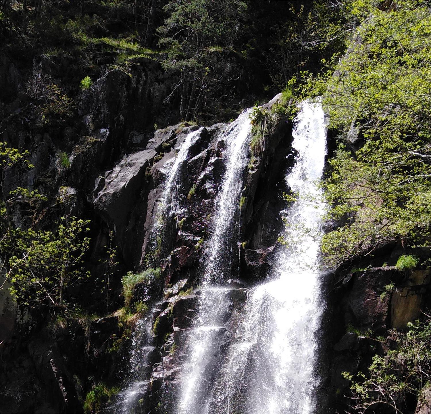 Foto für Geführte Wanderung "Zum Wasserfall"